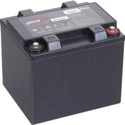 EnerSys Genesis 12EP42 G42EP 0766-2001 Bleiakku 12 V 42 Ah Blei-Vlies (AGM) (B x H x T) 198 x 171 x 166 mm M6-Schraubanschluss Wartungsfrei, Geringe