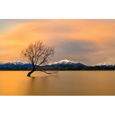 Fototapete PAPERMOON "Photo-Art HUA ZHU, MORGENGLÜHEN DES LAKE WANAKA", bunt, B:4,5m L:2,8m, Vlies, Tapeten