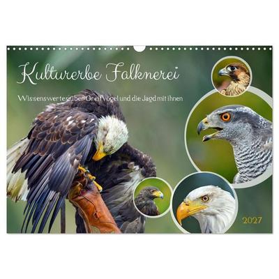 Kulturerbe Falknerei (Wandkalender 2027 DIN A3 quer), CALVENDO Monatskalender