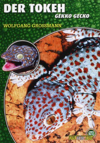 Wolfgang Grossmann - Der Tokeh: Gekko gecko - Preis vom 07.10.2026 11:45:10 h