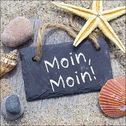 Ambiente 20 Servietten Papier 33x33cm 3-lagig - hochwertige Einweg Papierservietten maritimes Motiv & Spruch Partyservietten Seestern Muscheln Tischdeko Strand