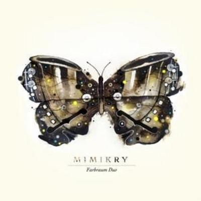Mimikry - Farbraum Duo, CD