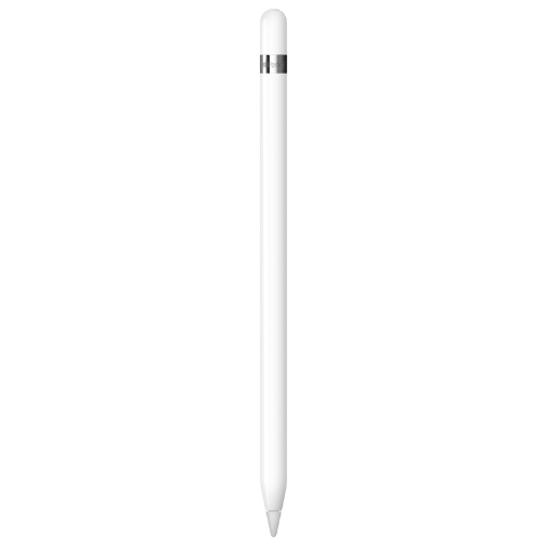 Apple Pencil mit USB-C - Lightning Adapter