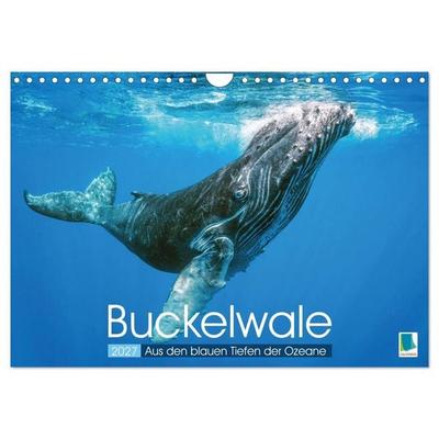 Buckelwale: Aus den blauen Tiefen der Ozeane (Wandkalender 2027 DIN A4 quer), CALVENDO Monatskalender
