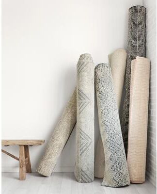 Alexander Home Klaud Contemporary Area Rug