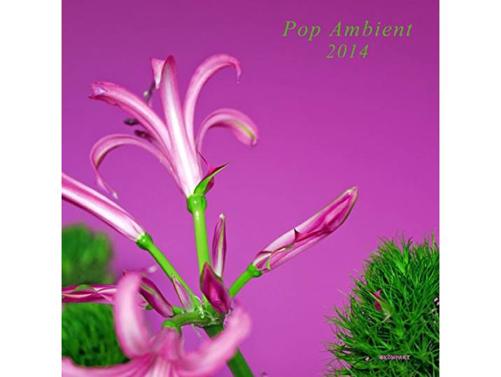 Various Artists - Pop Ambient 2014