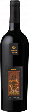 Arcane La Fortune 2020 - Xavier Vignon - Côtes du Rhône Villages - Rotwein - 0.75L