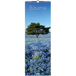 DuMont, Kalender, Bäume 2027