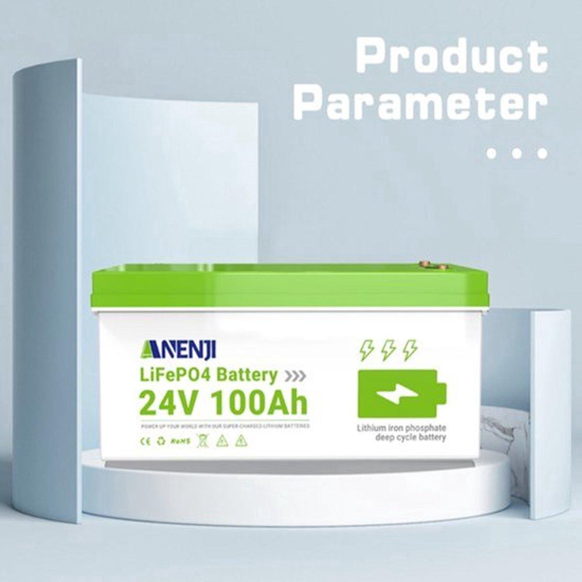 Selius Accu 24V 100Ah LiFePO4 Lithium IJzerfosfaat Batterij voor Zonne-energie