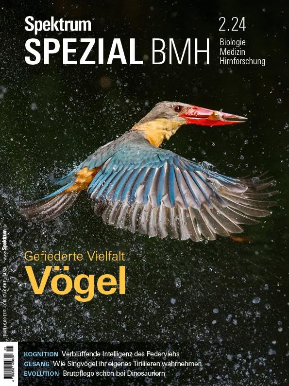 Spektrum der Wissenschaft - Spektrum Spezial BMH 2/2024 - Vögel: Gefiederte Vielfalt (Spektrum Spezial - Biologie, Medizin, Hirnforschung) - Preis vom 09.10.2026 07:28:09 h
