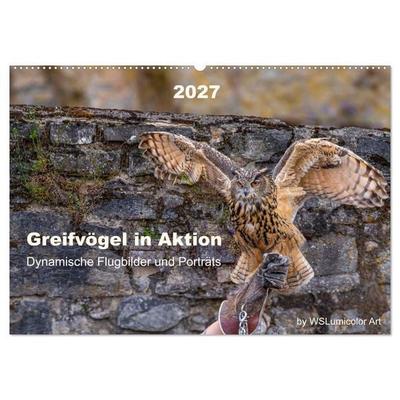 Greifvögel in Aktion - Dynamische Flugbilder und Porträts (Wandkalender 2027 DIN A2 quer), CALVENDO Monatskalender