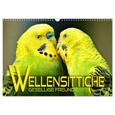 Wellensittiche - gesellige Freunde (Wandkalender 2027 DIN A3 quer), CALVENDO Monatskalender