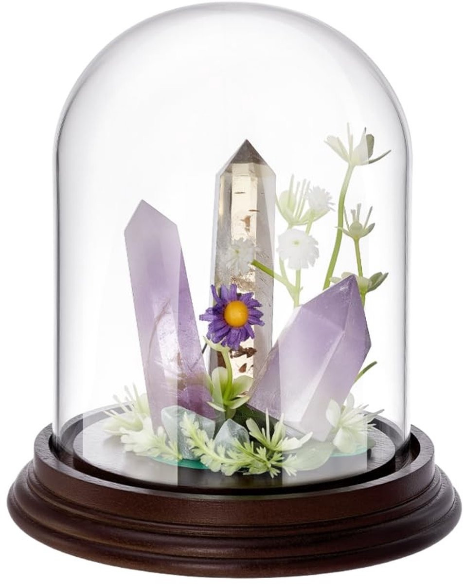 Dailygoods Glazen Cloche met Houten Basis - Decoratieve Glazen Dome - Diameter: 13 cm, Hoogte: 14 cm