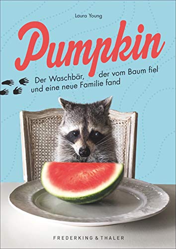 Laura Young - Pumpkin. Der Waschbär, der vom Baum fiel und eine neue Familie fand. Ein bezauberndes Geschenkbuch über den Instagram-Star und eine berührende Freundschaft. - Preis vom 11.10.2026 15:43:13 h