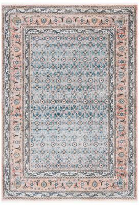 SAFAVIEH Shivan Fanney Oriental Rug