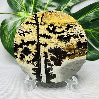 On Spot Shop Hand Polished Natural Rock Picture Stone Round Coasters, Abstract Spiritual Healing Witchcraft Decor, Holiday & Home 4