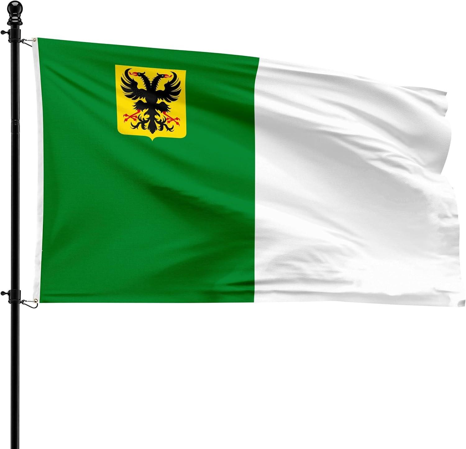 Gemeentevlag Ronse van polyester, 90 x 150 cm, geschikt voor vlaggenmast