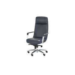 Chefsessel   ¦ blau ¦ Maße (cm): B: 65 H: 121 T: 69.0