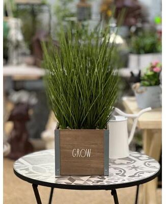 Rae Dunn Artificial Plant for Home Décor