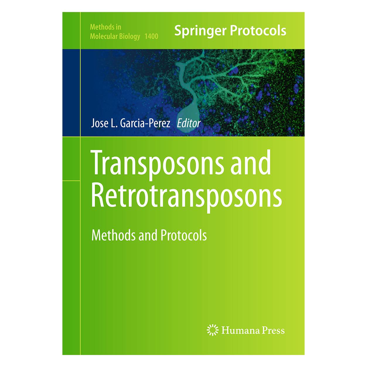 Springer Transposons and Retrotransposons (Englisch, Hardcover, Jose L. Garcia-Pérez) (9781493933709)