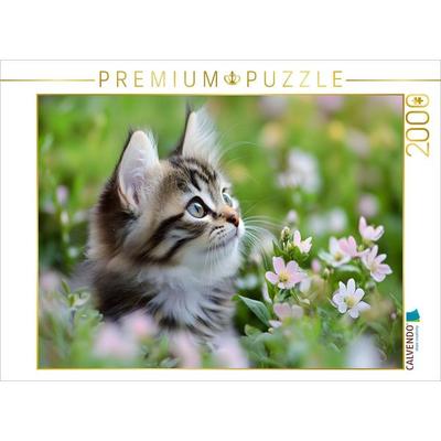 CALVENDO Puzzle Verträumte Katze in der Wiese | 2000 Teile Lege-Größe 90x67cm Foto-Puzzle für glückliche Stunden