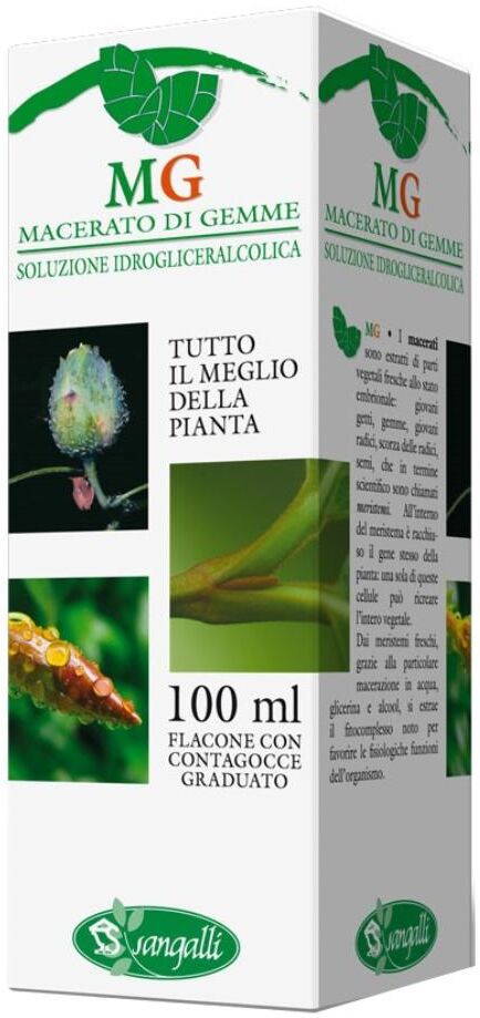 SANGALLI Srl IPPOCASTANO 100ML MG