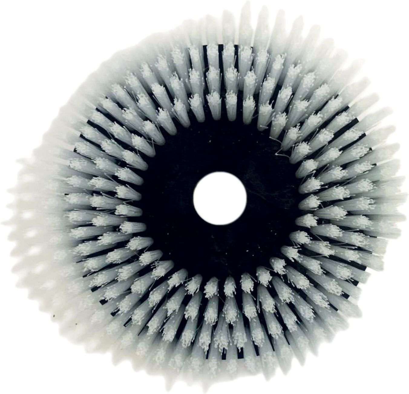 cleancraft Scheibenbürste PP 205/0,6 mm (7211038)