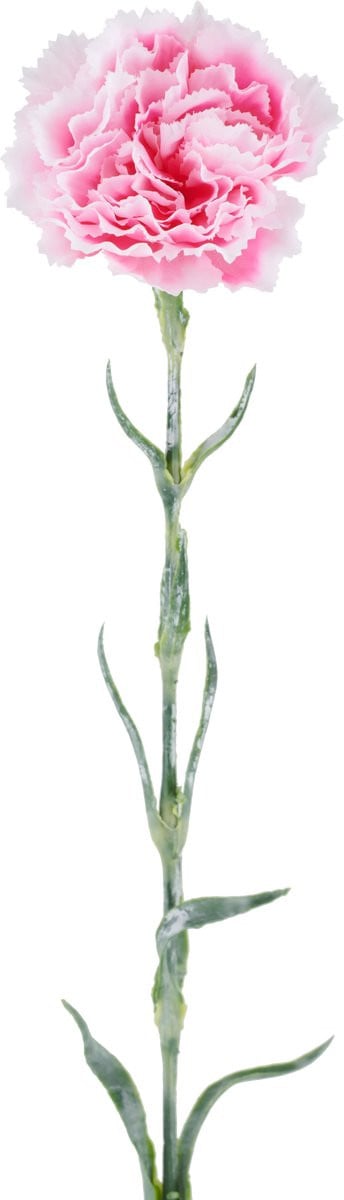 Easyplants Kunstbloem Carnation roze, 68 cm, zijde