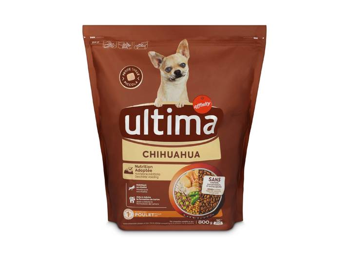 Ultima Dog Mini Chihuahua