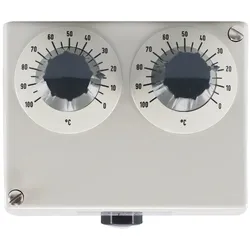 Jumo Doppelthermostat (TR/TR) 60000486