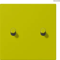 Jung LC12-5R0249 Abdeckung mit Kipphebel "Zylinder" 2 Kipphebel LS 1912 vertikal olive v