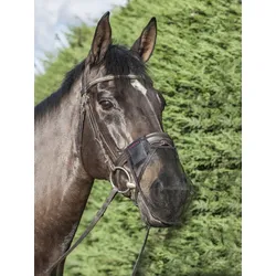 Nüsternschutz LM Comfort Shield 2 Set schwarz 8801-8803 PFERD L