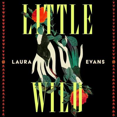 Little Wild - Laura Evans, Audio, 9781035073108