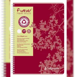 Calligraphe 10x Spiralheft Forever A4 50 Blatt kariert Calligraphe - Rot 17407C