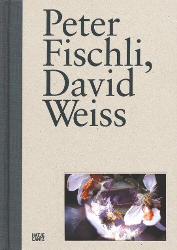 Ingvild Goetz - Peter Fischli David Weiss - Preis vom 16.10.2026 11:41:07 h