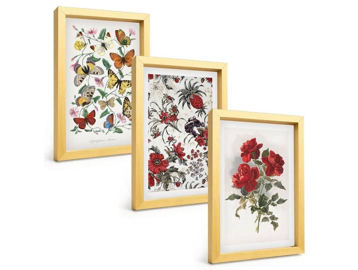 BILDER SET 3er Set - 20x30 cm Goldrahmen - Schmetterlinge, Blumen, rote Rosen