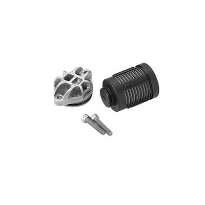 BORGWARNER (AWD) Hydraulikfilter, Lamellenkupplung-Allradantrieb ds2002968 Hinterachse für Volvo LAND ROVER Ford