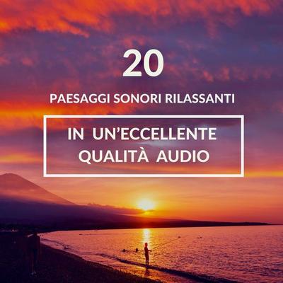 ambiente rilassante per il sonno, meditazione, sonno profondo: 20 paesaggi sonori rilassanti in un'eccellente qualità audio - Luigi La Grotta, Audio,