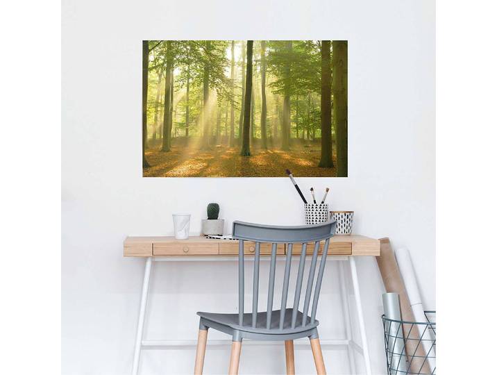 Poster Erleuchteter Wald Grün Papier Grün 61 x 92 x 0cm
