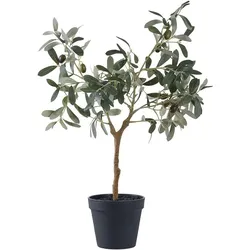House Nordic, Kunstpflanzen, Olive (61 cm)
