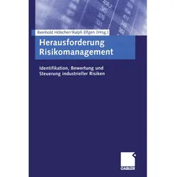 Herausforderung Risikomanagement, Fachbücher