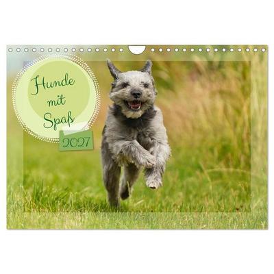 Hunde mit Spaß (Wandkalender 2027 DIN A4 quer), CALVENDO Monatskalender