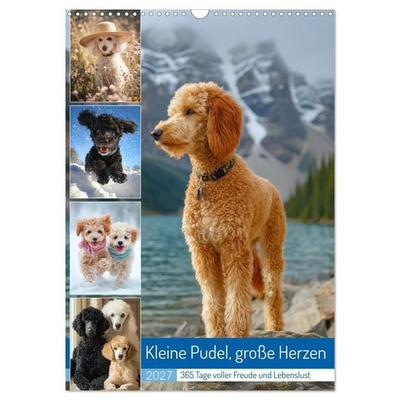 Kleine Pudel, große Herzen (Wandkalender 2027 DIN A3 hoch), CALVENDO Monatskalender