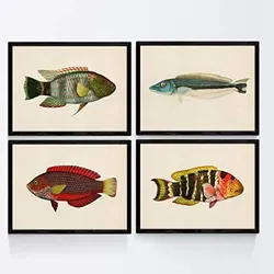 POSTER Set mit 4 Fischwirkung Jahrgang grün rot blauer A4 Rahmenlos