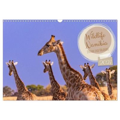 Wildlife Namibia - Etosha und Kalahari (Wandkalender 2027 DIN A3 quer), CALVENDO Monatskalender