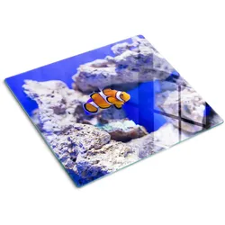 GLASPLATTE 60x52 cm Nemos Korallenriff