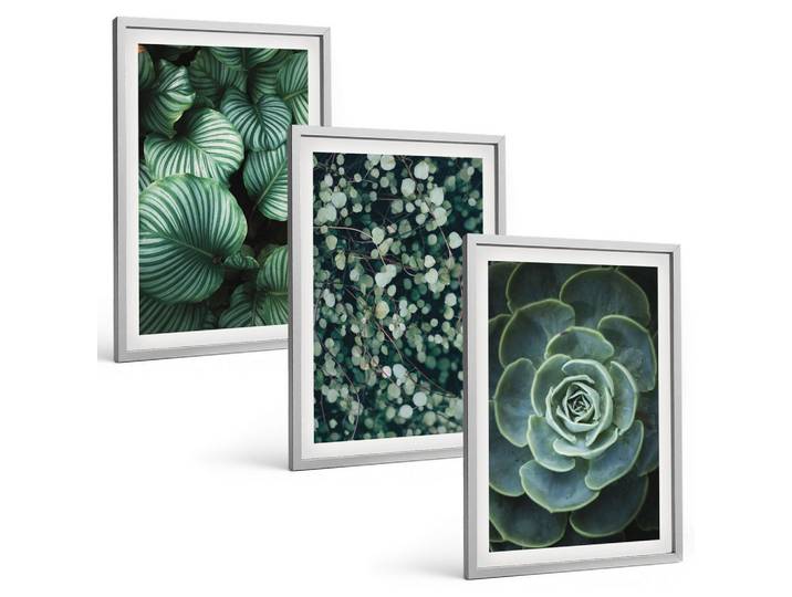 BILDER SET 3er Set - 40x60 cm Silberner Rahmen - Sukkulenten im Stil grüner Blätter