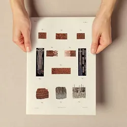 POSTER Medizinische Illustrationen – Haarfollikel A4 Rahmenlos