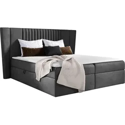 BOXBETT Spark - H3