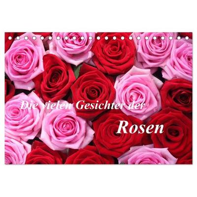 Die vielen Gesichter der Rosen (Tischkalender 2027 DIN A5 quer), CALVENDO Monatskalender